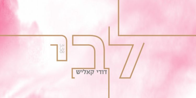 ליבי - דודי קאליש2