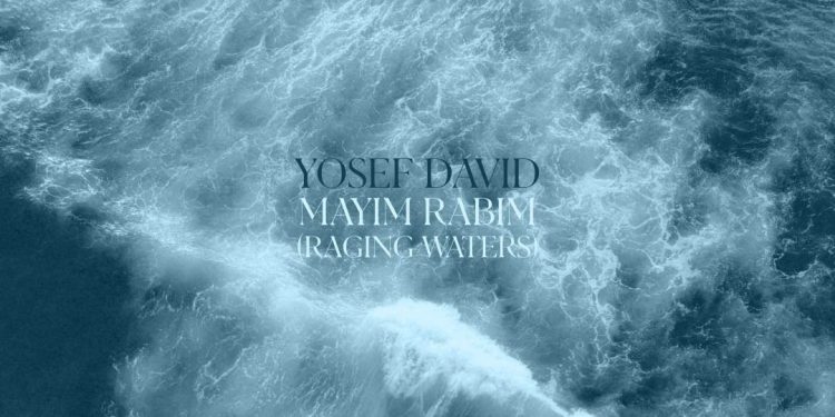 Yosef David - Mayim Rabim