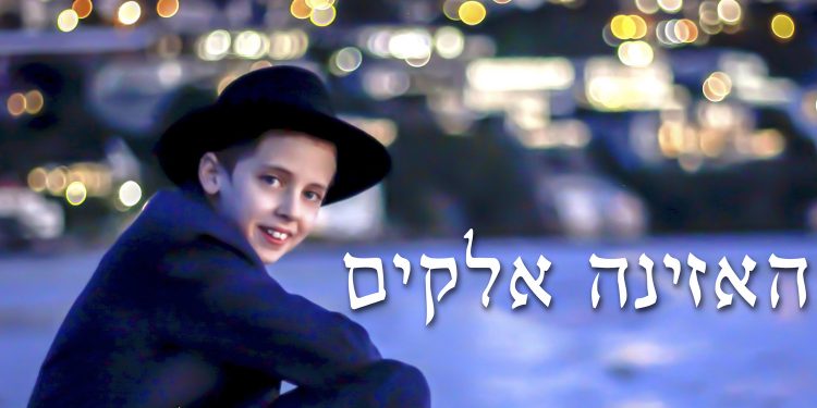 Levi Niasoff - Hazino Elokim