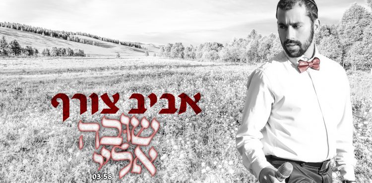 Aviv Tzoref - Shuva Eilay