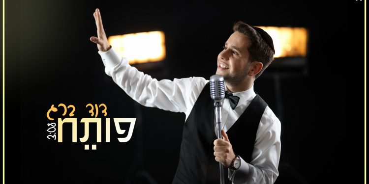 Dovid Berg - Poteach