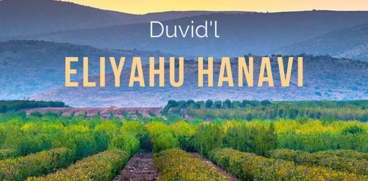 Duvid'l - Eliyahu Hanavi