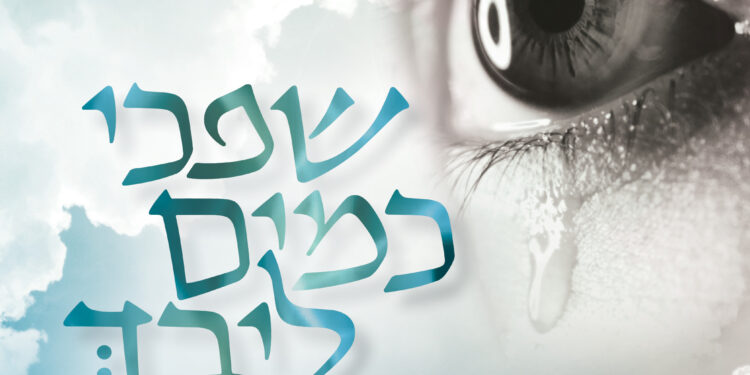 Meir Ben Dror - Shifchi Kamayim