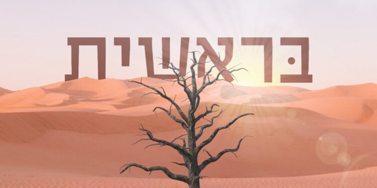 Avrum Mordche Schwartz - Bereishis