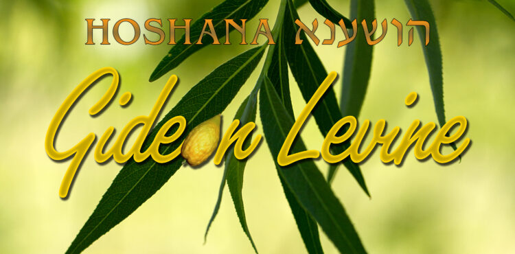 Gideon Levine - Hoshana