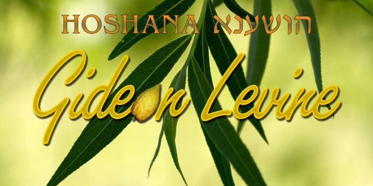 Gideon Levine - Hoshana