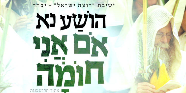 אום אני חומה - עטיפה מרובעת