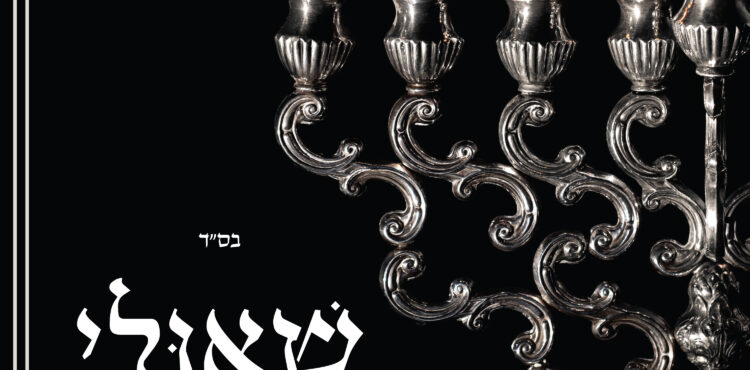 Shauli - Chasoif Single Cover Final iTunes