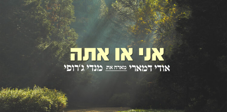 אני או אתה מנדי גרופי אודי דמארי