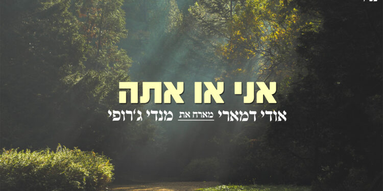 אני או אתה מנדי גרופי אודי דמארי