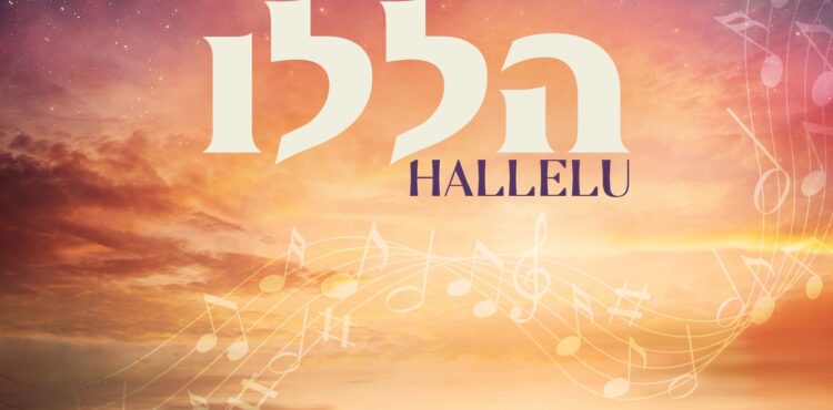 Yosef Kugler & Moishe Lowenbraun - Hallelu