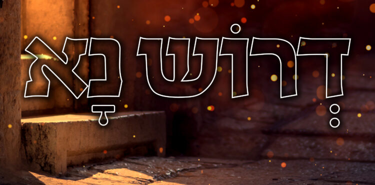 Ohad Moskowitz - Deroish Na