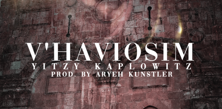 Vhaviosim