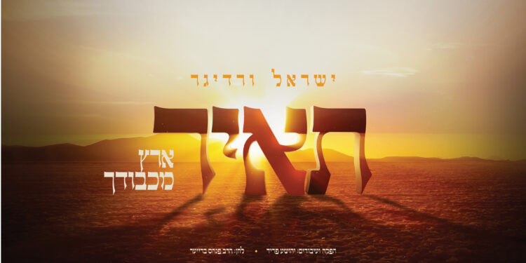 YT Thumbnail • Ta'ir • Yisroel Werdyger • @MusicOnTime