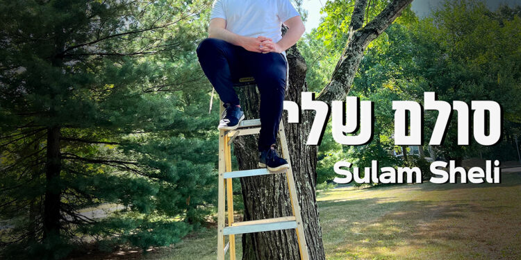 Shmuly Hurwitz - Hasulam Sheli