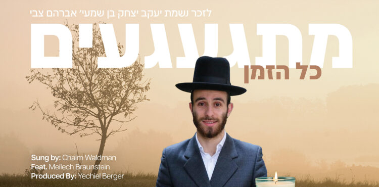 Misgagim Kol Hazman - Chaim Waldman feat. Meilech Braunstein