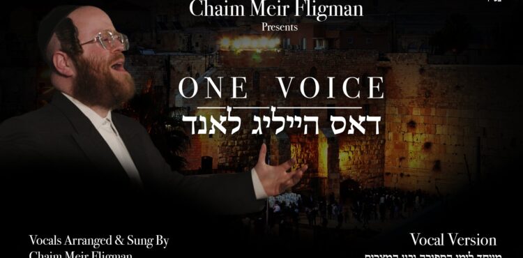 YT Thumbnail • One Voice [Vocal] • Chaim Meir Fligman @MusicOnTime