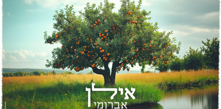 עטיפה(36)