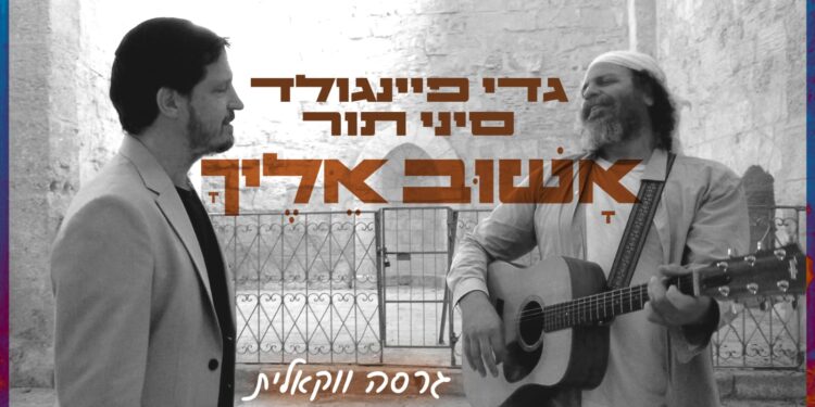 גדי פיינגולד וסיני תור אשוב אליך - ווקאלי - קאבר