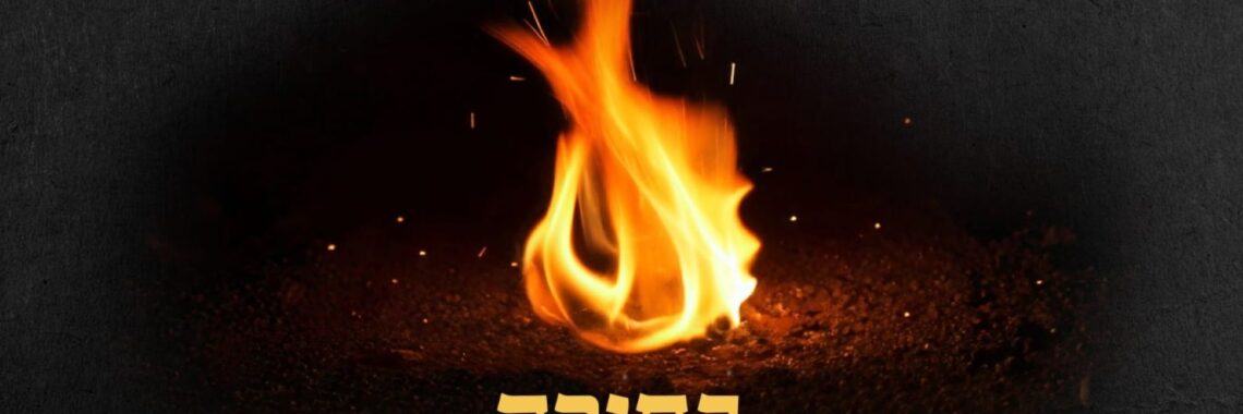 מלבן(142)