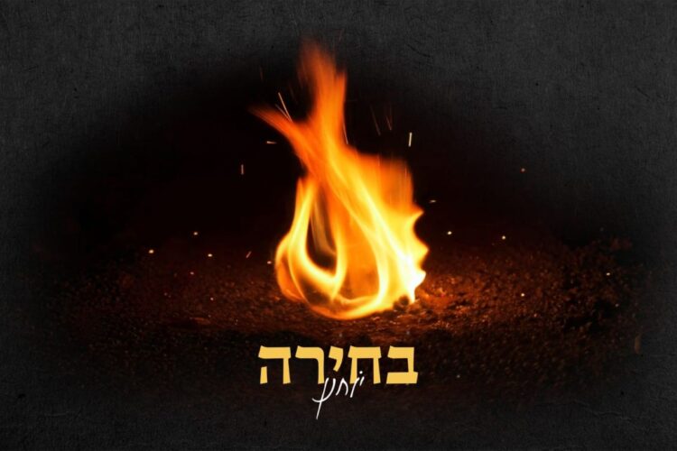 מלבן(142)