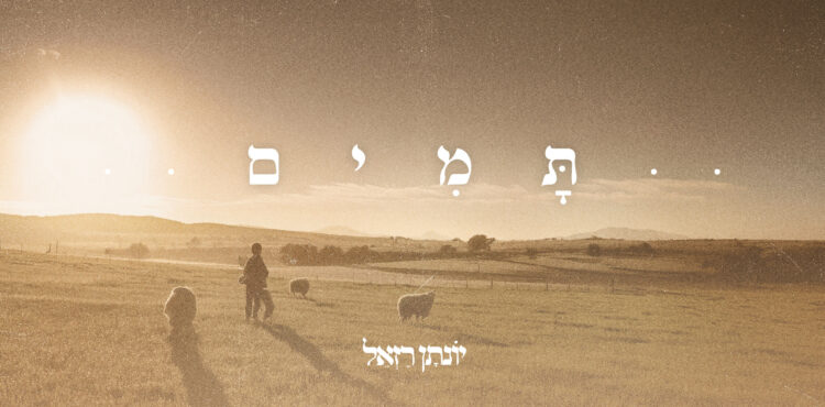 תמים - גרפיקה