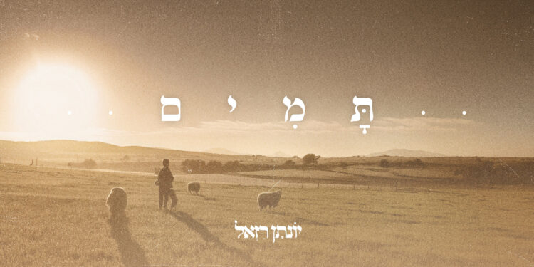תמים - גרפיקה