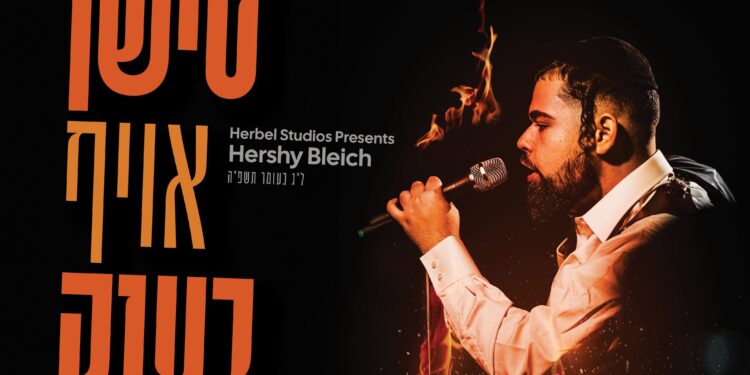 Hershy Bleich spotify Cover (1)