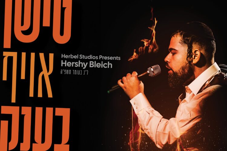 Hershy Bleich spotify Cover (1)