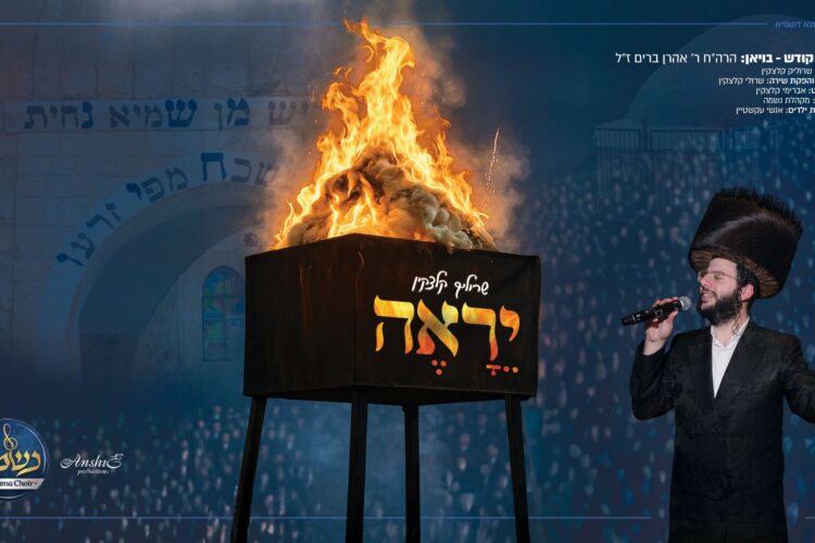 מלבן(146)