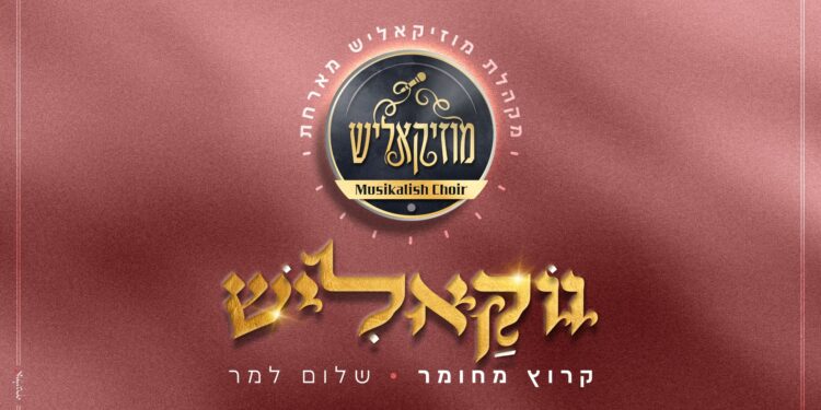 מלבן(146)