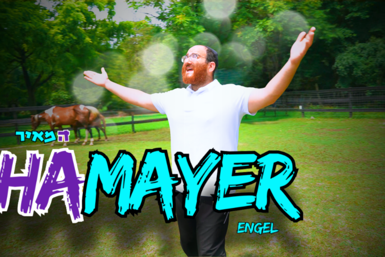 MAYER (2)