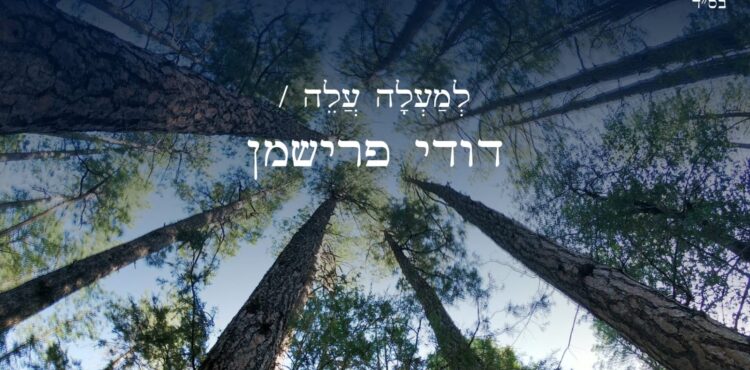 דודי פרישמן למעלה עלה - גרפיקה