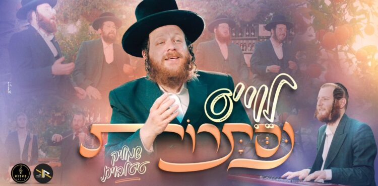 מלבן - לוי'ס נסתרות