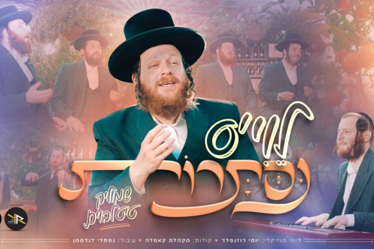 מלבן - לוי'ס נסתרות