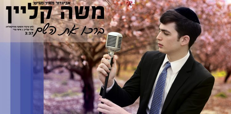 Moshe Klein - Barechu Et Hashem