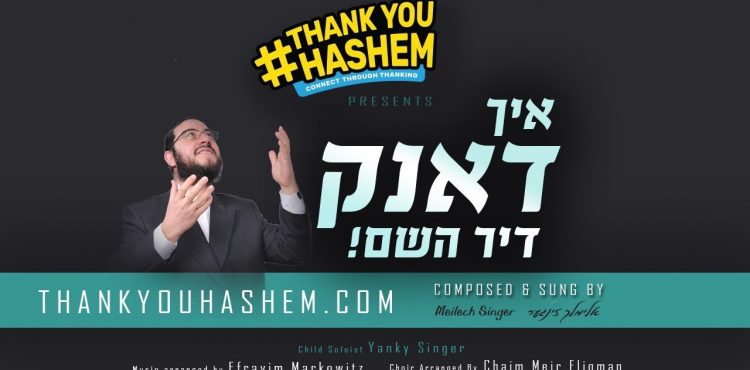 Meilech Singer - Ich Dank Dir Hashem