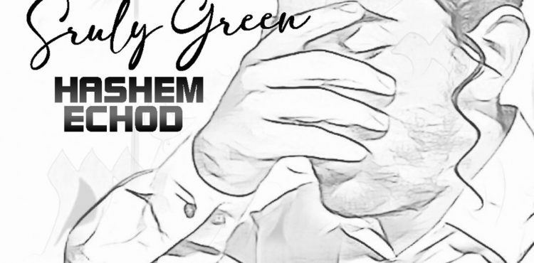 Sruly Green - Hashem Echod