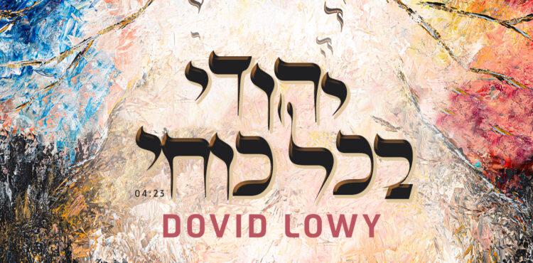 Dovid Lowy - Yehudi B'chol Kochi