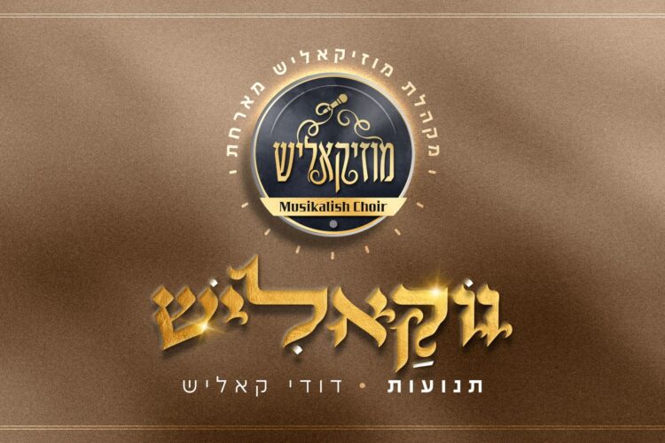 מלבן(149)