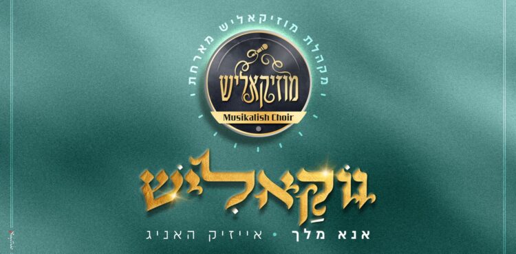 מלבן(145)