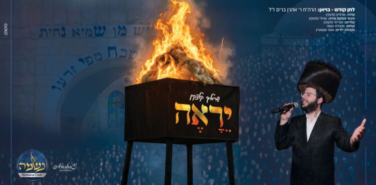 מלבן(146)
