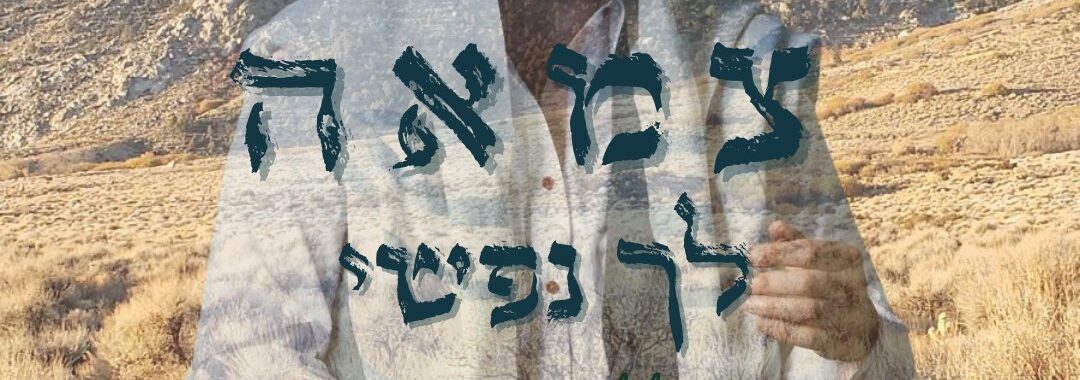 Eli Beer -Tzama Lecha Nafshi Acapella