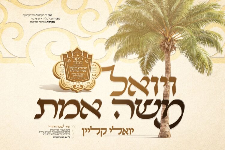 מלבן(7)