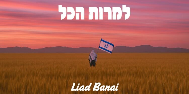 תמונה מלבן - למרות הכל