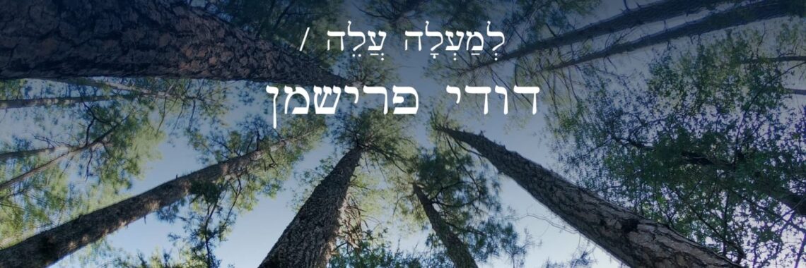 דודי פרישמן למעלה עלה - גרפיקה