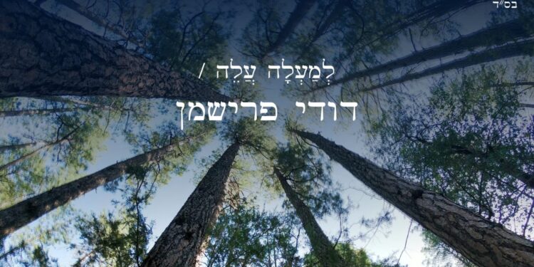 דודי פרישמן למעלה עלה - גרפיקה
