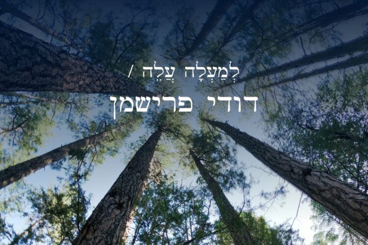 דודי פרישמן למעלה עלה - גרפיקה
