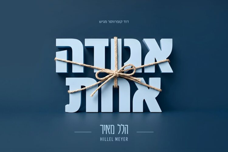 מלבן - אגודה אחת