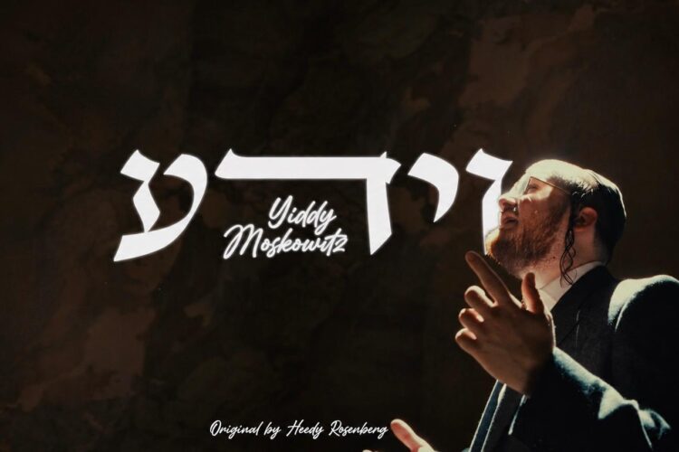 Yiddy Moskowitz - Veyeida _ Youtube Cover